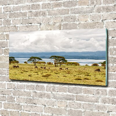Quadro in vetro acrilico Lago Naivasha