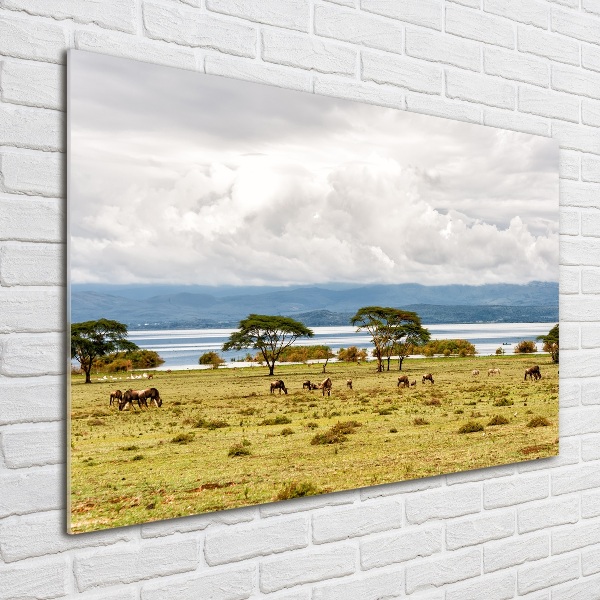 Quadro in vetro acrilico Lago Naivasha
