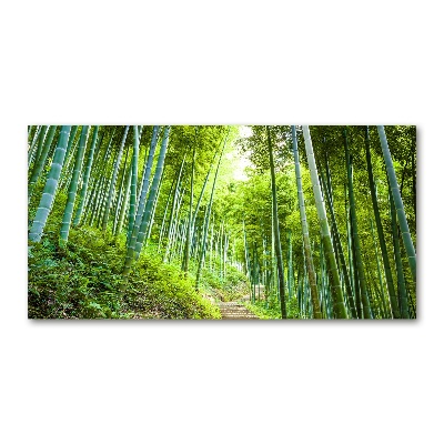 Quadro su vetro acrilico Foresta di bambù