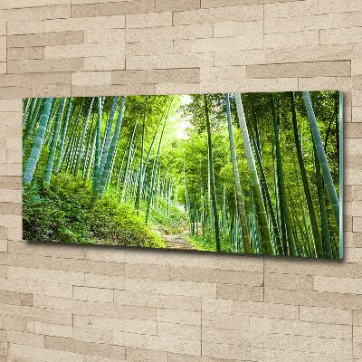 Quadro su vetro acrilico Foresta di bambù