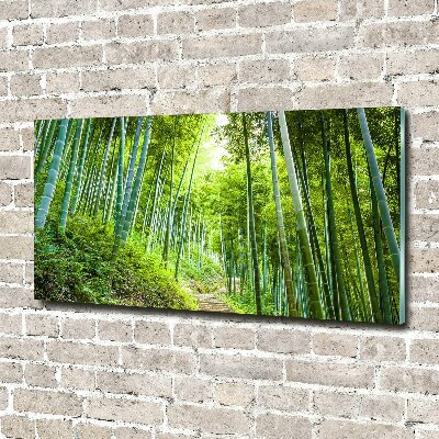 Quadro su vetro acrilico Foresta di bambù
