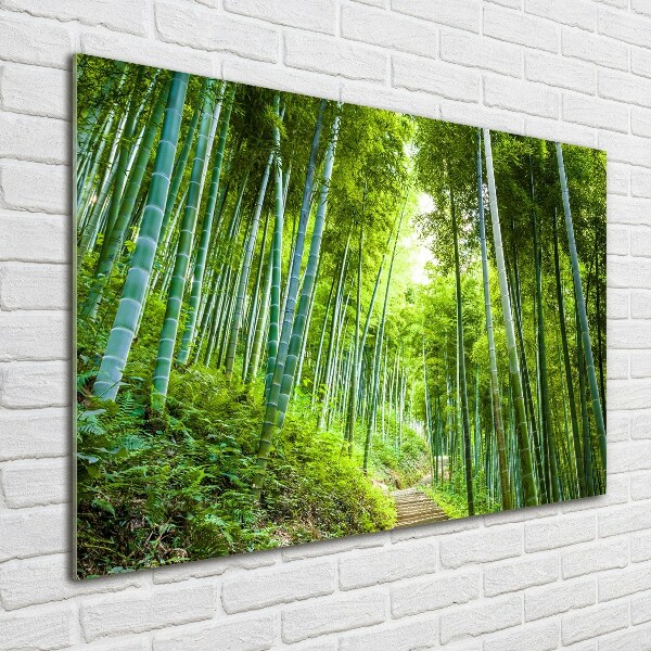 Quadro su vetro acrilico Foresta di bambù
