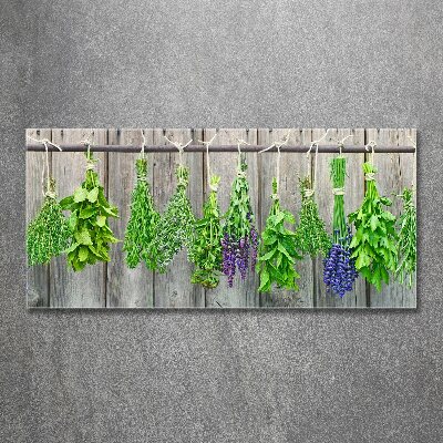 Quadro in vetro acrilico Erbe aromatiche su un filo