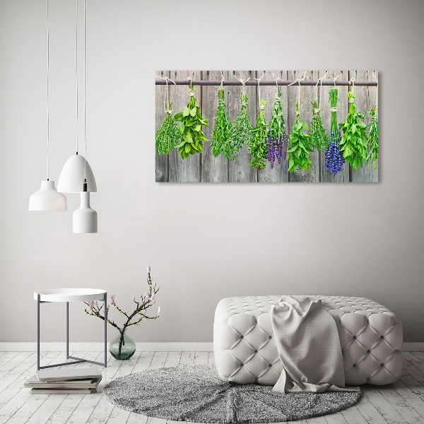 Quadro in vetro acrilico Erbe aromatiche su un filo