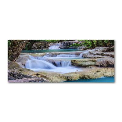 Quadro vetro acrilico Cascata nella foresta