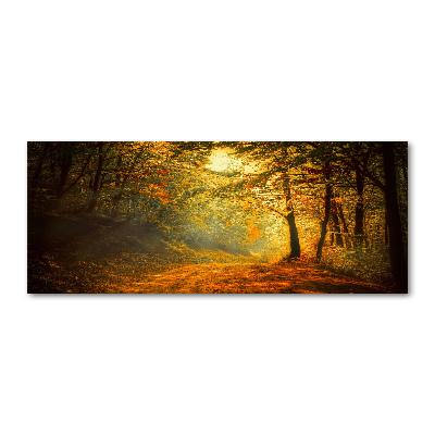 Quadro su vetro acrilico Foresta in autunno