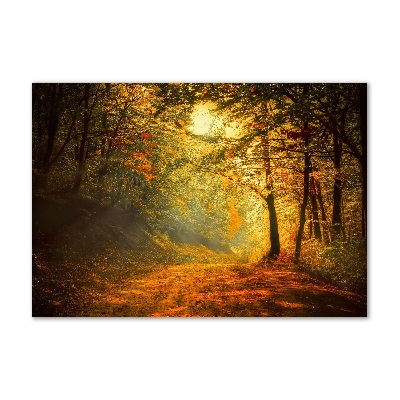 Quadro su vetro acrilico Foresta in autunno