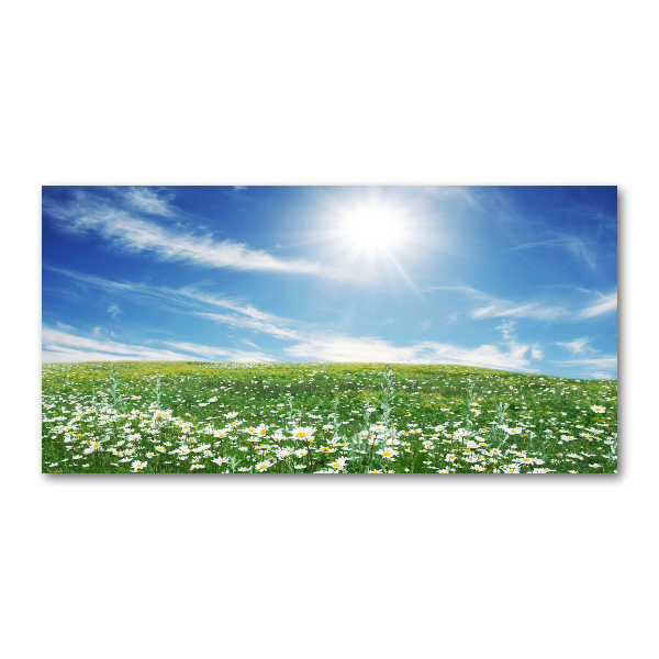 Quadro in vetro acrilico Prato