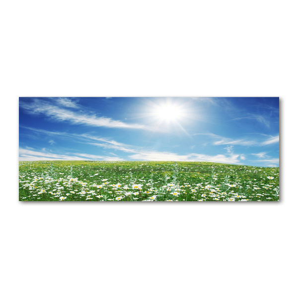 Quadro in vetro acrilico Prato