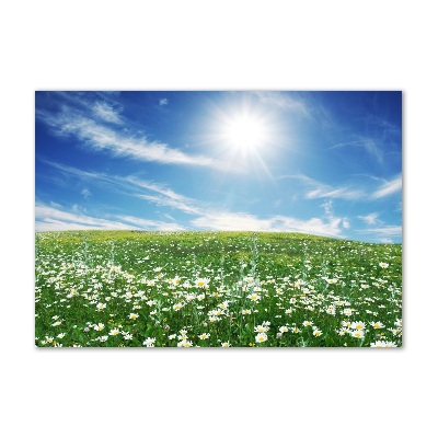 Quadro in vetro acrilico Prato