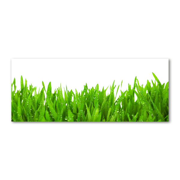 Quadro su vetro acrilico Erba