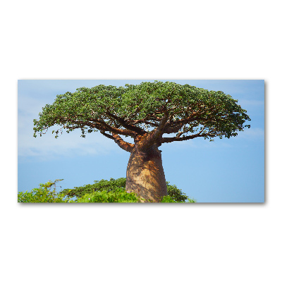 Quadro in vetro acrilico Baobab