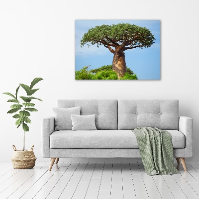 Quadro in vetro acrilico Baobab