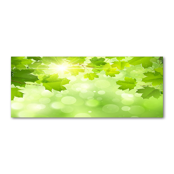 Quadro vetro acrilico Foglie di ippocastano