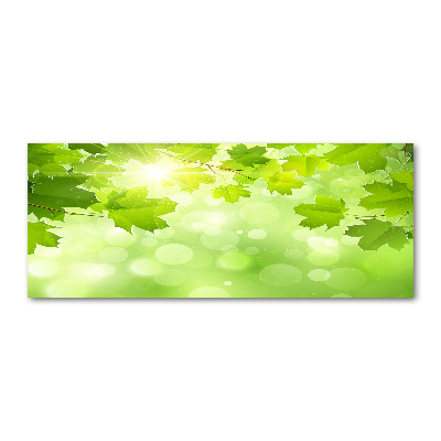 Quadro vetro acrilico Foglie di ippocastano