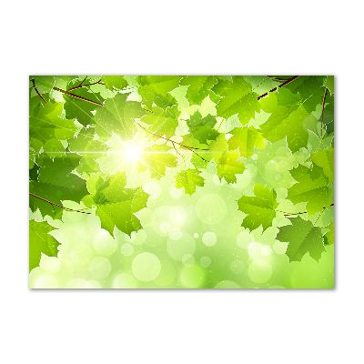 Quadro vetro acrilico Foglie di ippocastano