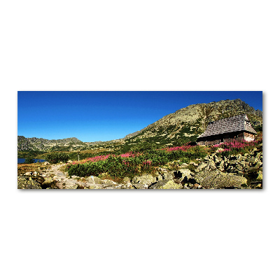 Quadro in vetro acrilico Capanna del pastore nella valle