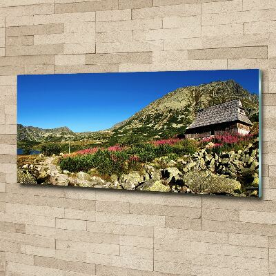 Quadro in vetro acrilico Capanna del pastore nella valle