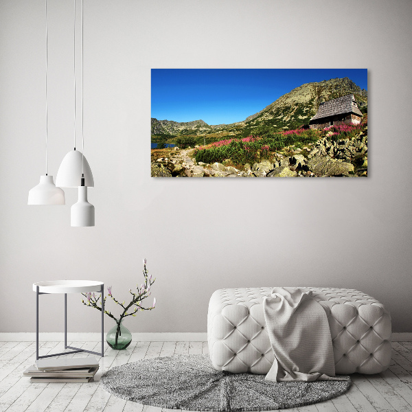 Quadro in vetro acrilico Capanna del pastore nella valle