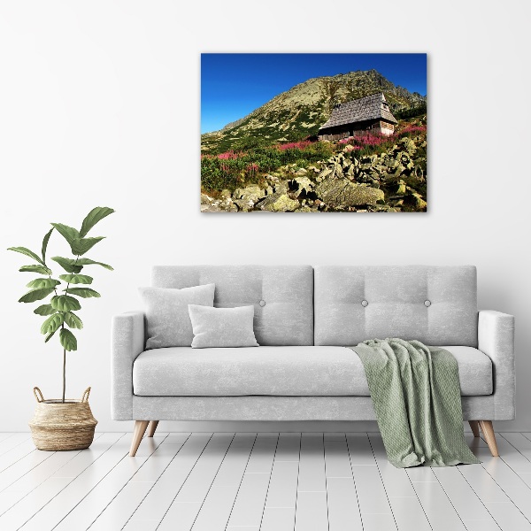 Quadro in vetro acrilico Capanna del pastore nella valle