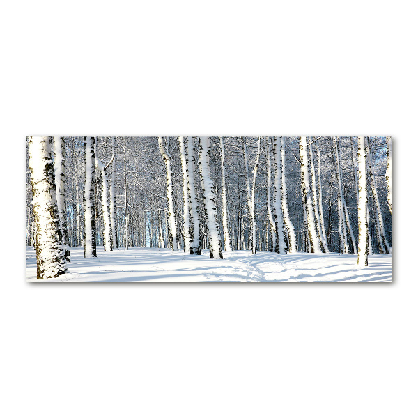Quadro su vetro acrilico Foresta in inverno