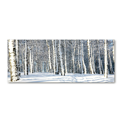 Quadro su vetro acrilico Foresta in inverno