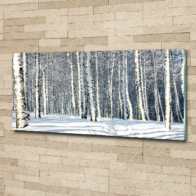 Quadro su vetro acrilico Foresta in inverno