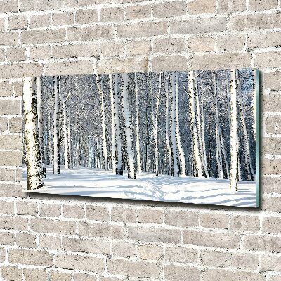 Quadro su vetro acrilico Foresta in inverno