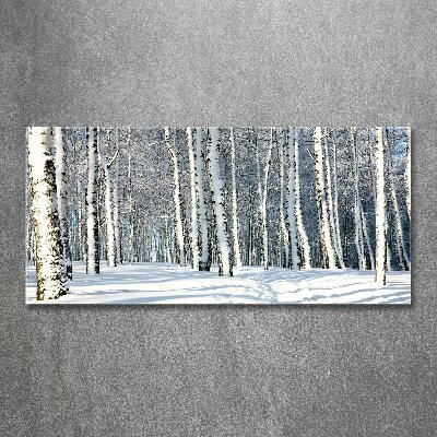Quadro su vetro acrilico Foresta in inverno