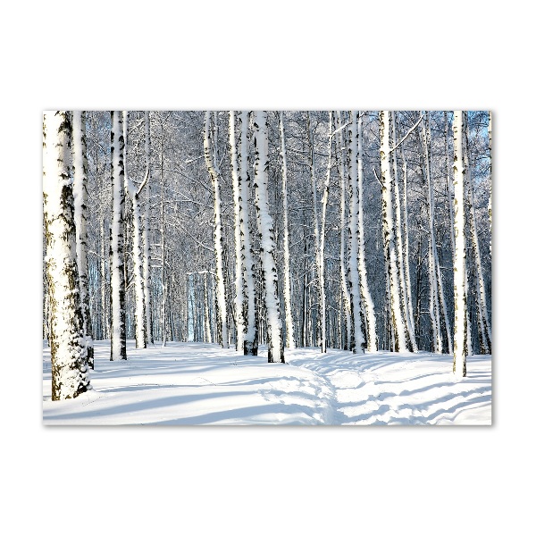 Quadro su vetro acrilico Foresta in inverno