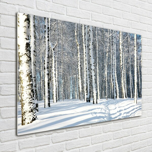 Quadro su vetro acrilico Foresta in inverno
