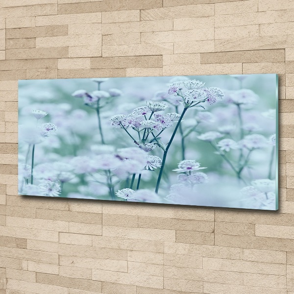 Quadro in vetro acrilico Mantlewort maggiore