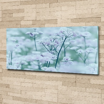 Quadro in vetro acrilico Mantlewort maggiore