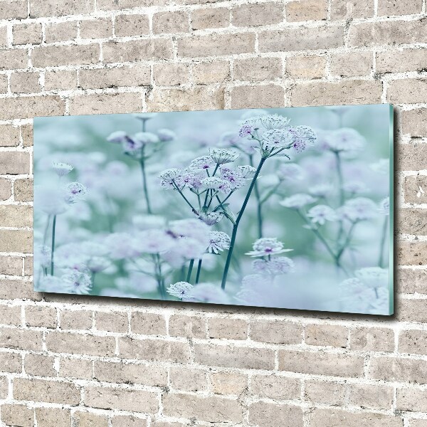 Quadro in vetro acrilico Mantlewort maggiore