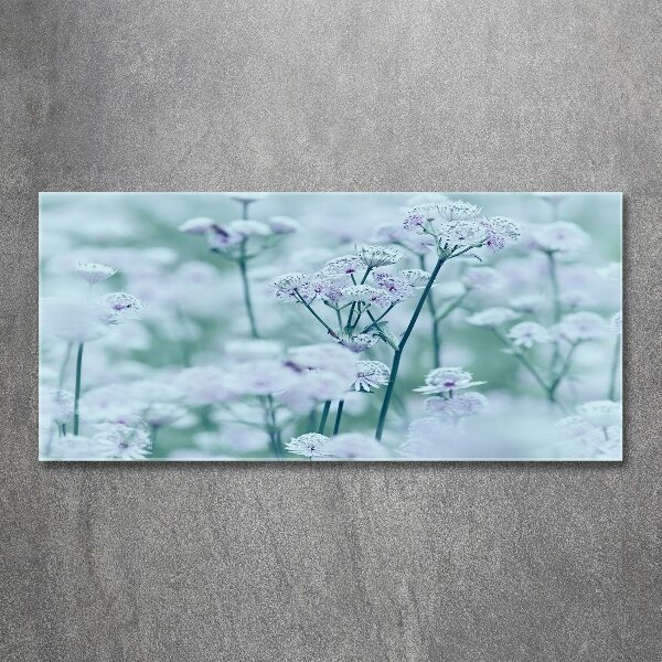 Quadro in vetro acrilico Mantlewort maggiore