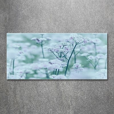 Quadro in vetro acrilico Mantlewort maggiore