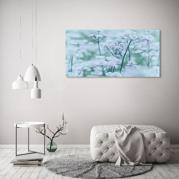 Quadro in vetro acrilico Mantlewort maggiore