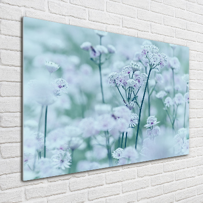 Quadro in vetro acrilico Mantlewort maggiore