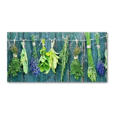 Quadro in vetro acrilico Erbe aromatiche su un filo