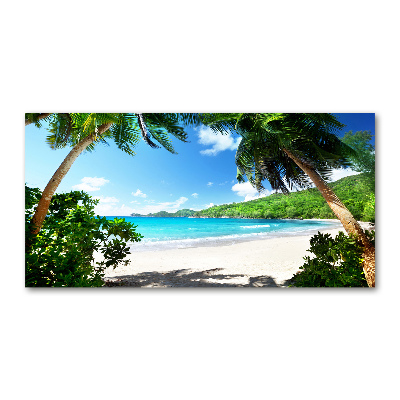 Quadro vetro acrilico Spiaggia delle Seychelles