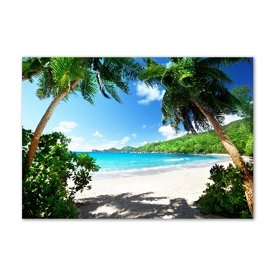 Quadro vetro acrilico Spiaggia delle Seychelles