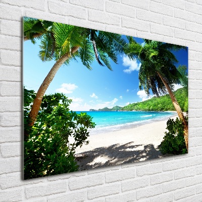 Quadro vetro acrilico Spiaggia delle Seychelles