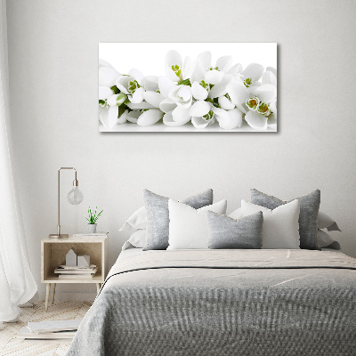 Quadro su vetro acrilico Bucaneve