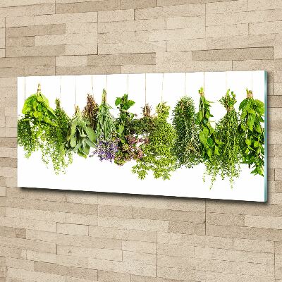 Quadro in vetro acrilico Erbe aromatiche su un filo