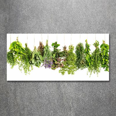 Quadro in vetro acrilico Erbe aromatiche su un filo