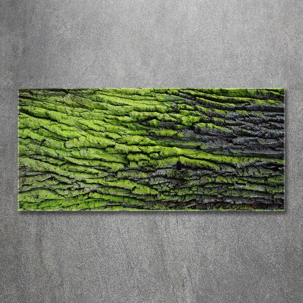 Quadro in vetro acrilico Corteccia d'albero