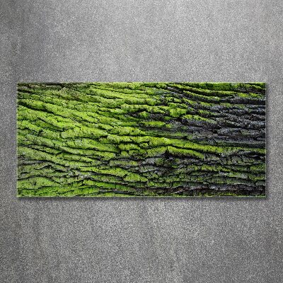 Quadro in vetro acrilico Corteccia d'albero
