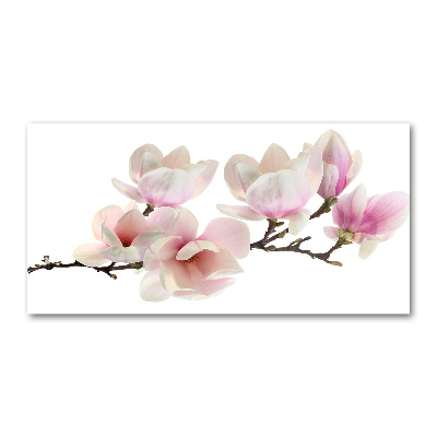 Quadro vetro acrilico Magnolia