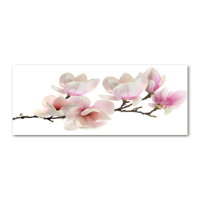 Quadro vetro acrilico Magnolia