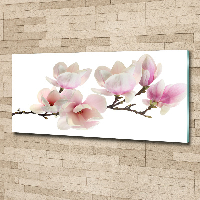 Quadro vetro acrilico Magnolia